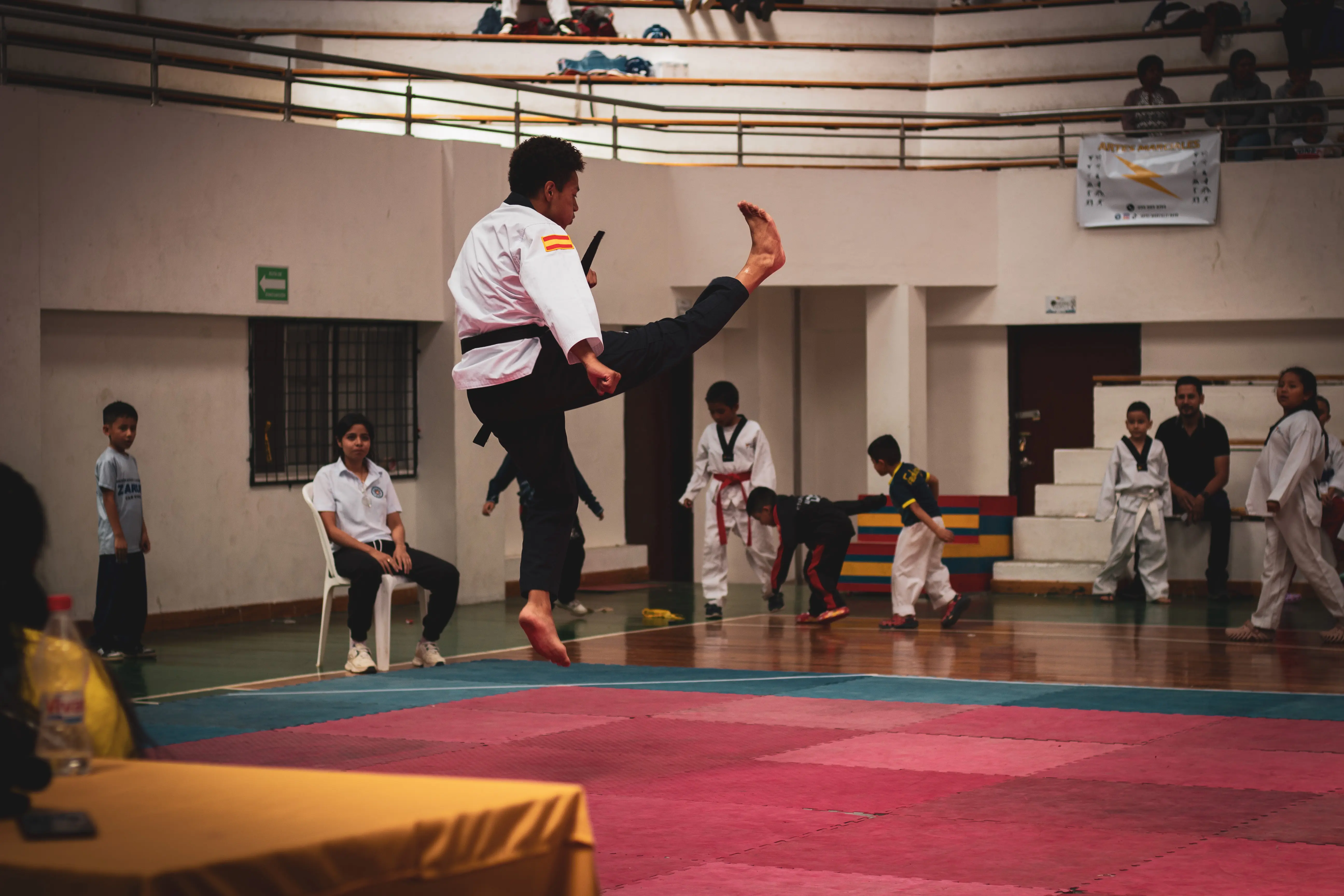 Pounce Taekwondo 4
